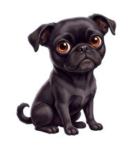 Trixie, a black Chug with amber eyes, waiting